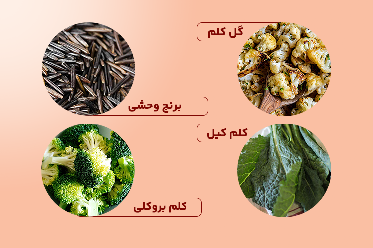 غذاهای سرشار از پروتئین؛ برنج وحشی، گل کلم، کلم کیل و کلم بروکلی